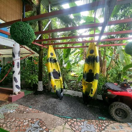 Wildlife Art Tortuguero Hotel Eksteriør billede