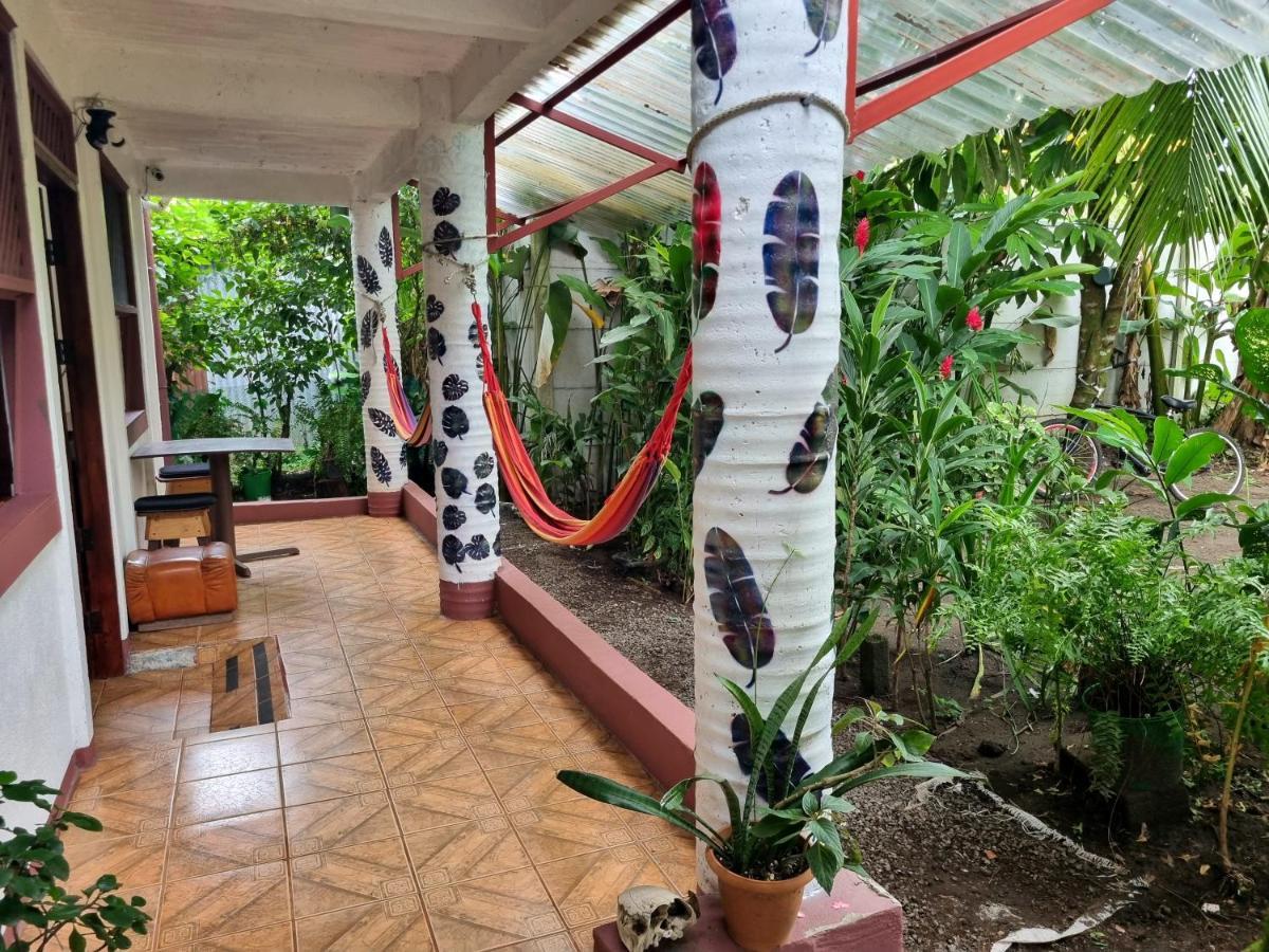 Wildlife Art Tortuguero Hotel Eksteriør billede