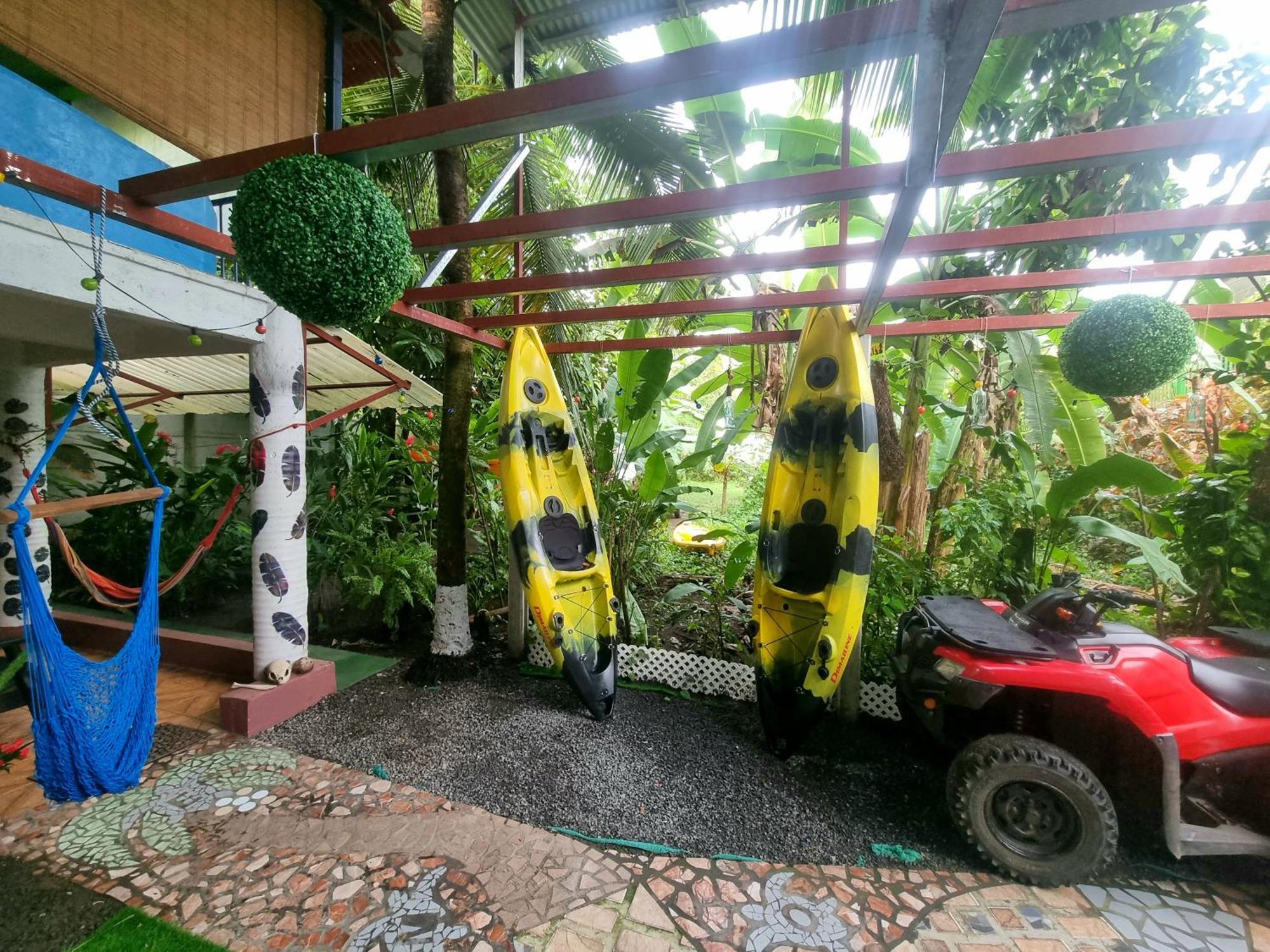 Wildlife Art Tortuguero Hotel Eksteriør billede