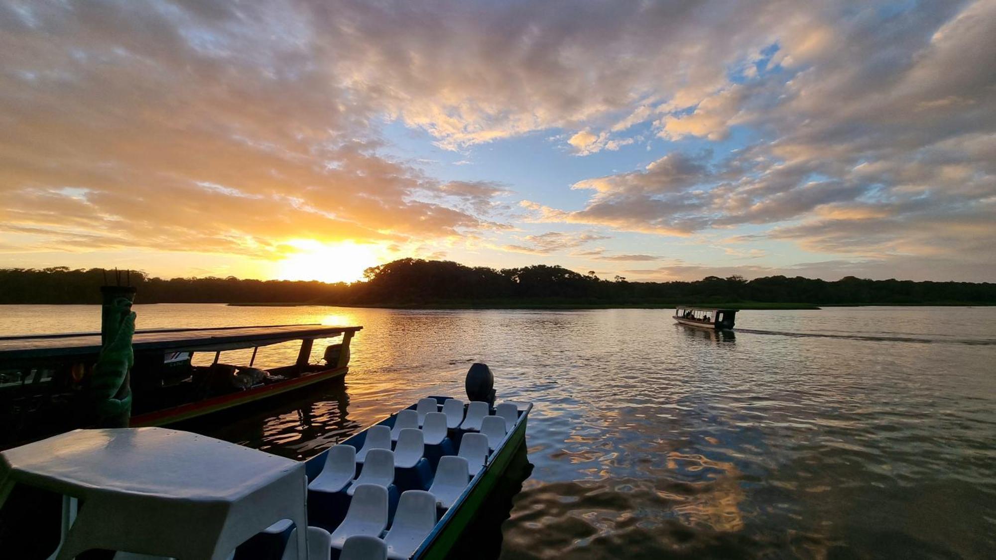 Wildlife Art Tortuguero Hotel Eksteriør billede